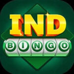 Ind Bingo2